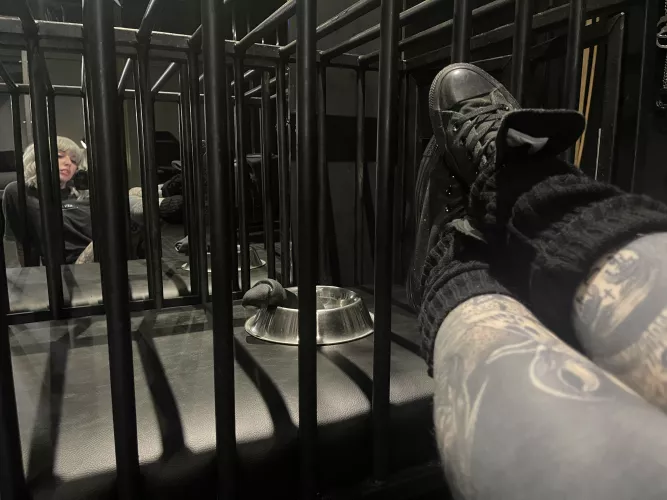 Come inside here baby [F]