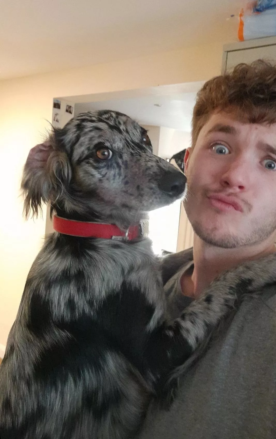 Demanding cuddles as usual