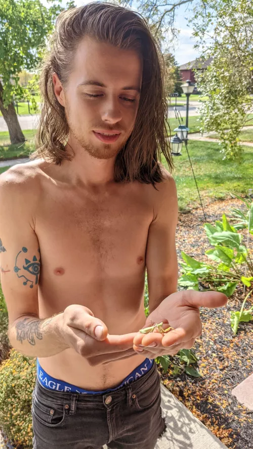 Found a little friend!