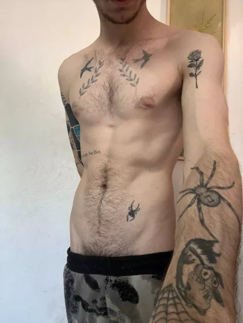 How many spiders do you see?