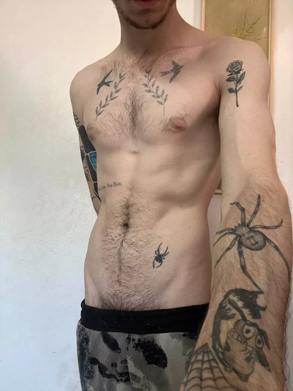 How many spiders do you see?