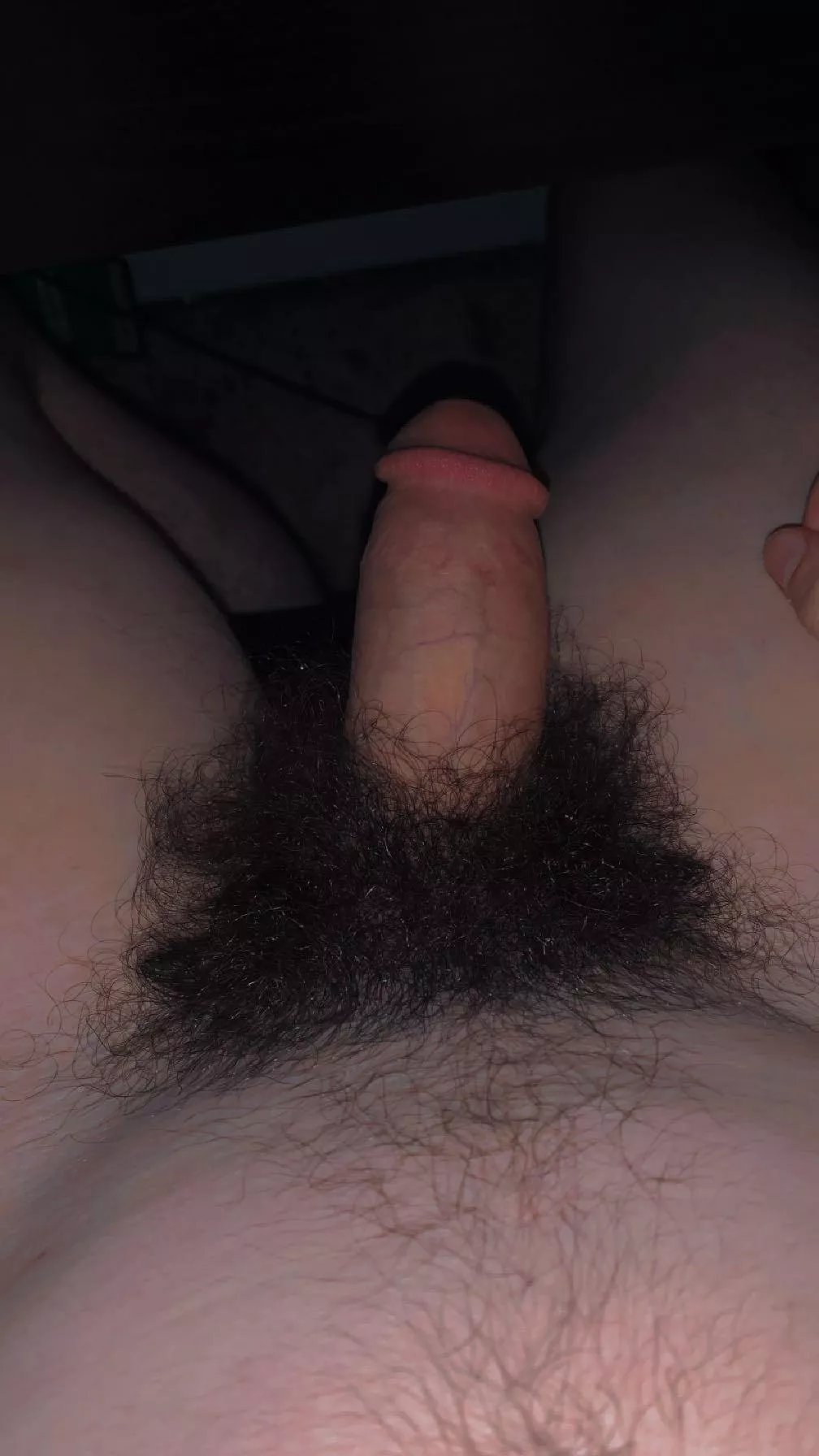 I love having such a thick furry bush 😌