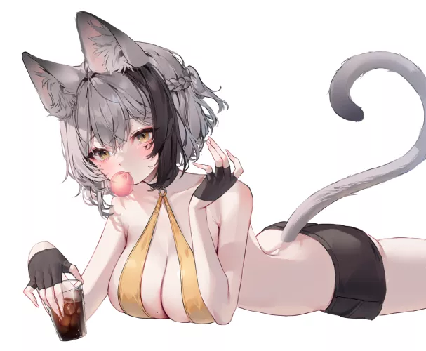 Neko relaxing (Hayan)