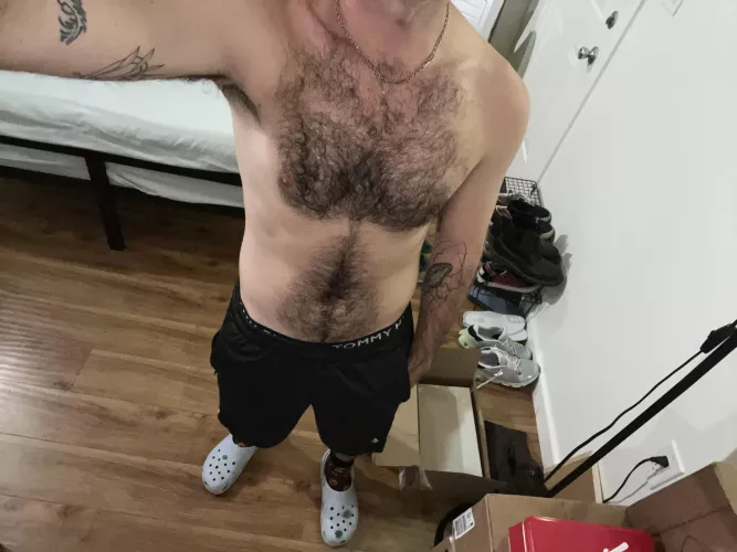 New here. Not sure how this goes. 25. Hairy. Open to DMs from serious guys.