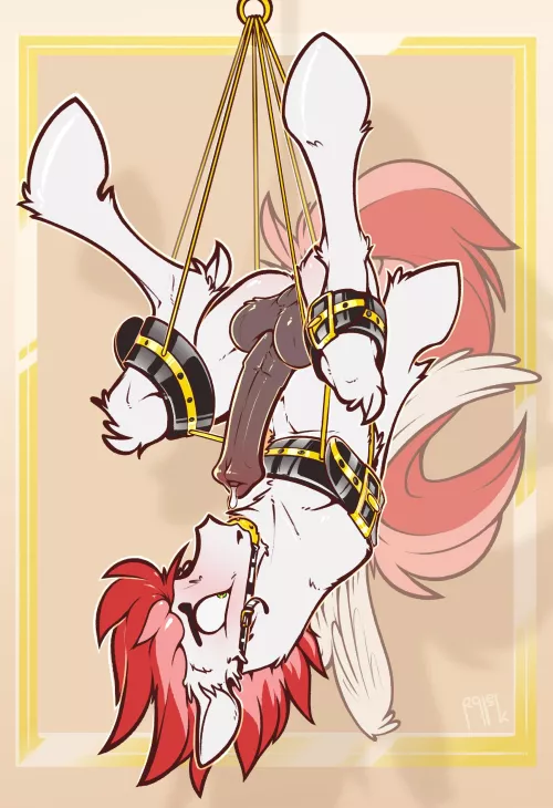 Pony Bondage (ralek)