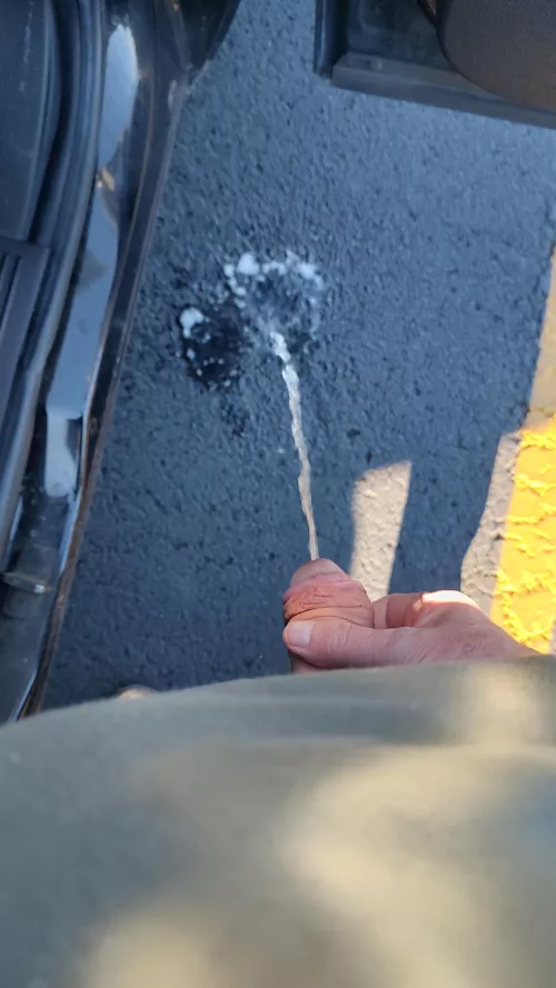 Yellow river by I P Freely