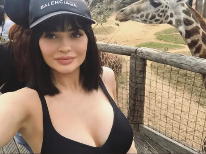 At the London Zoo | IG 2017