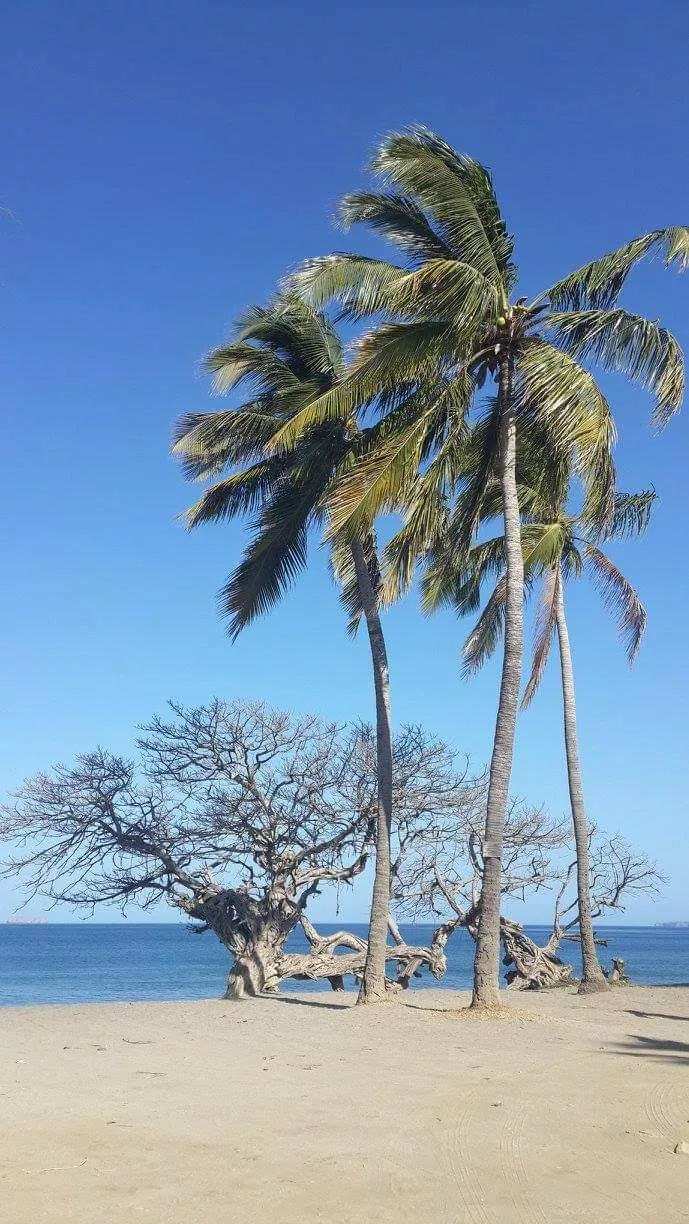 🌊Brasilito, Guanacaste, Costa Rica🌴