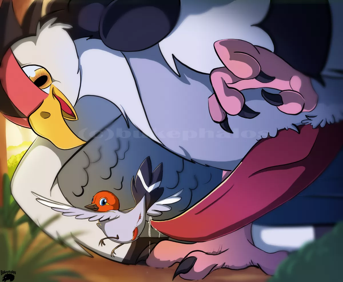 Catch them all challenge #661 - Fletchling (bukephalos)