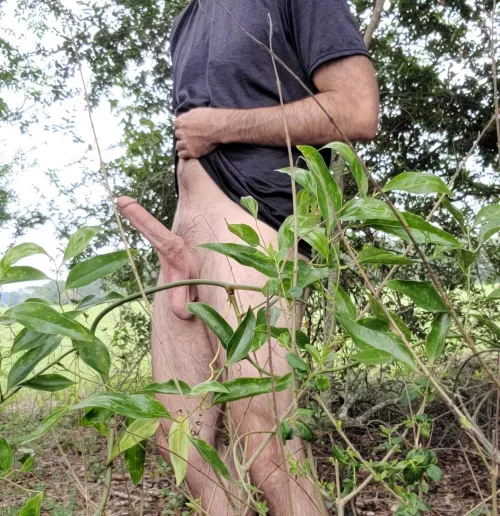 Come help me with this wood [30]