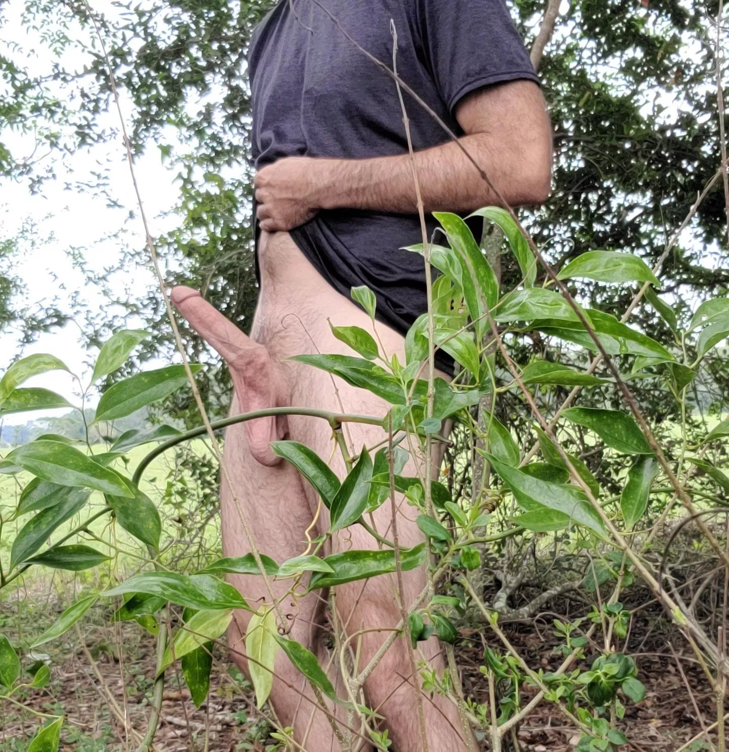 Come help me with this wood [30]