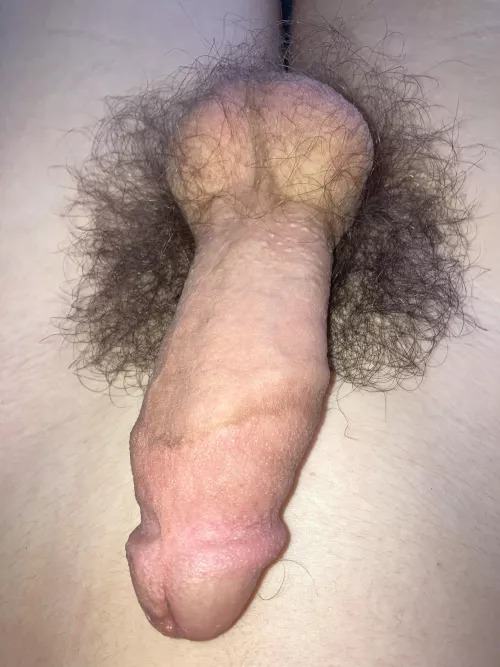 Just browsing through my photo album and thought y'all might like this one! Feel free to DM me if you want to see more!