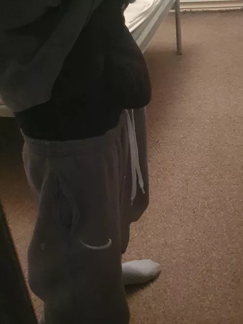 Quick picture of boxers