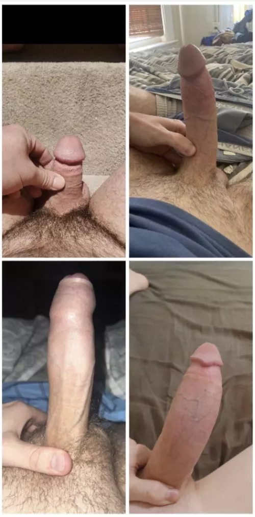 Rank from Best to Worst!