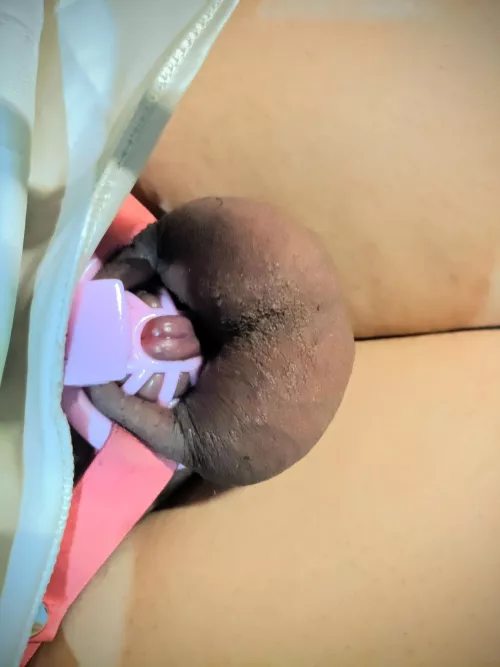 should I go smaller?