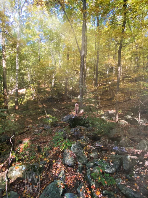 Solitude and SoliNUDE … where we find being alone ONEderful 🌲