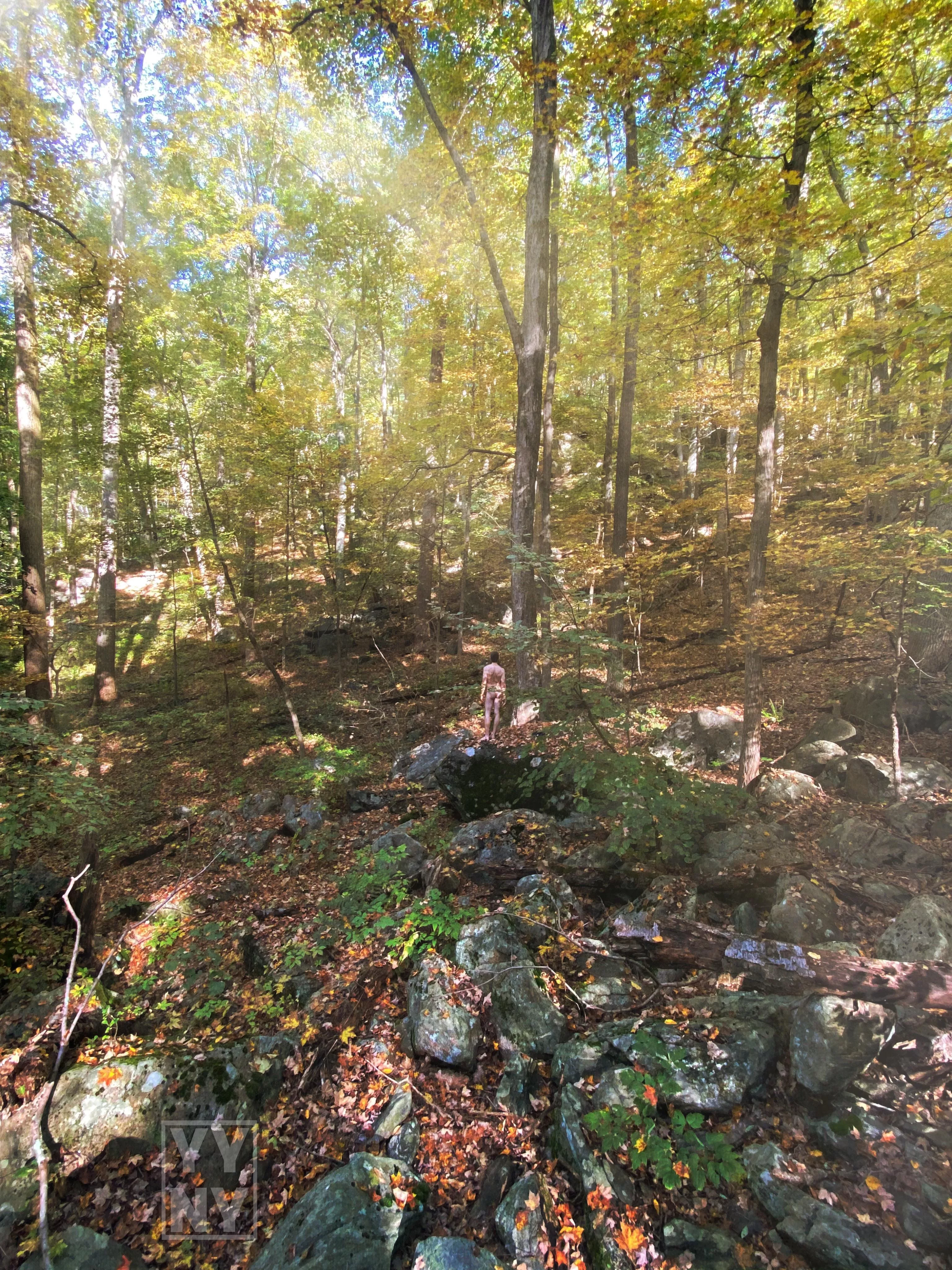 Solitude and SoliNUDE … where we find being alone ONEderful 🌲