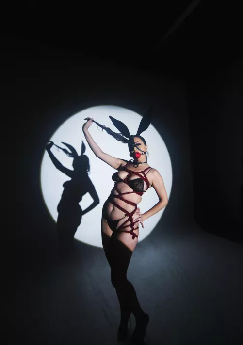 Year of the Rabbit: A tribute to rope bunnies