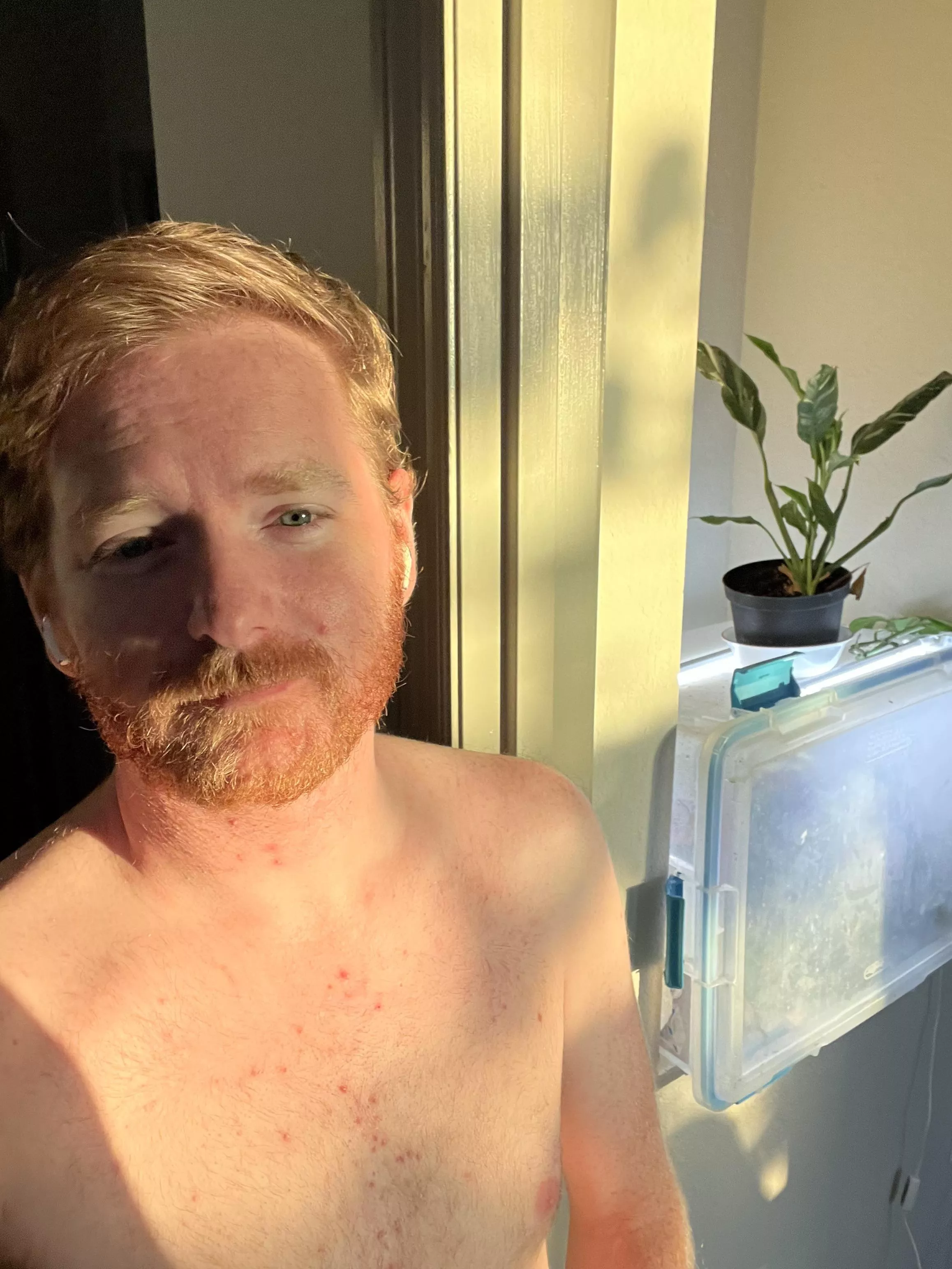 32: I finally caught that sunrise glow pic today.