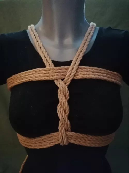 Bikini-Harness routine