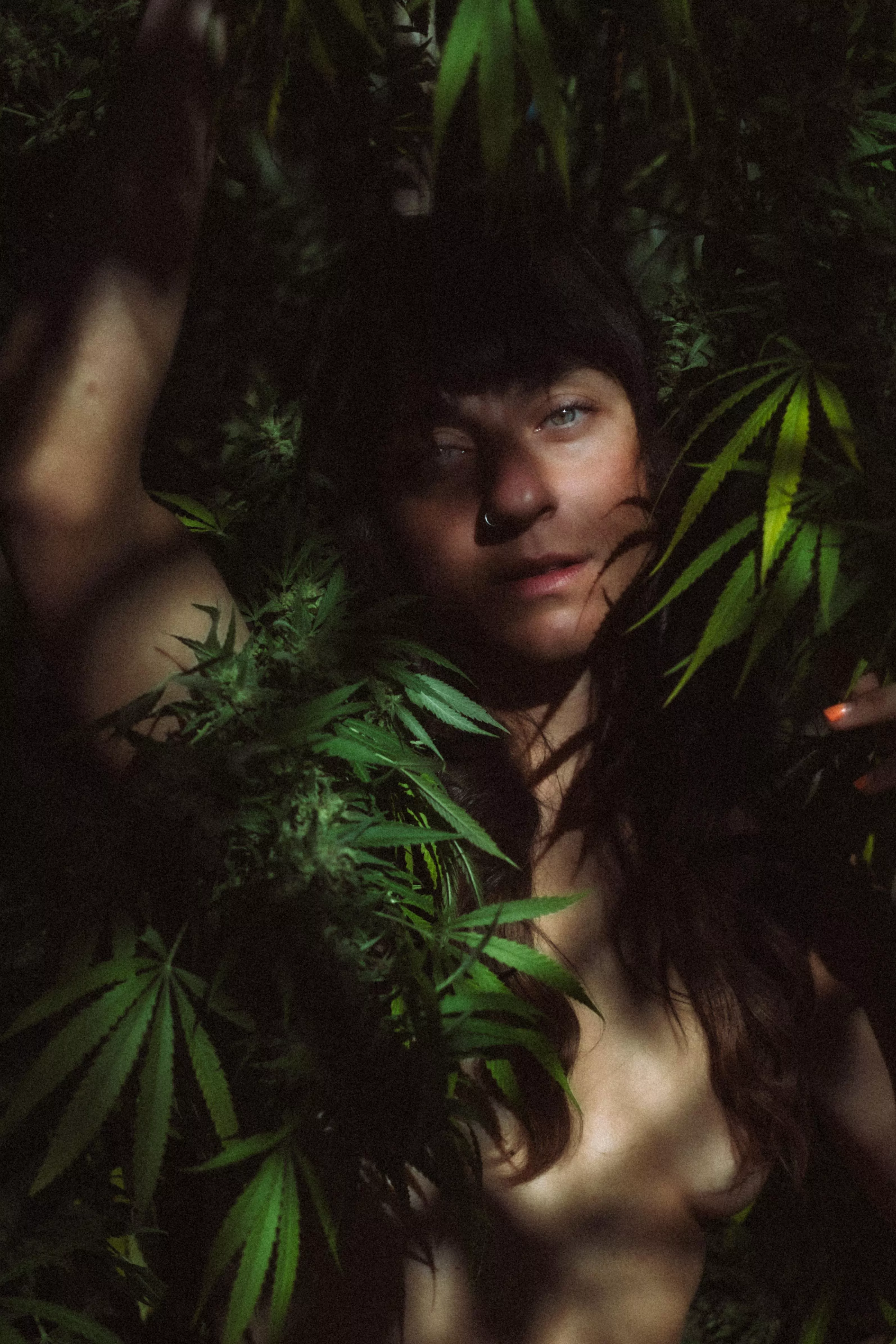 Cannacolored Daydream ✨