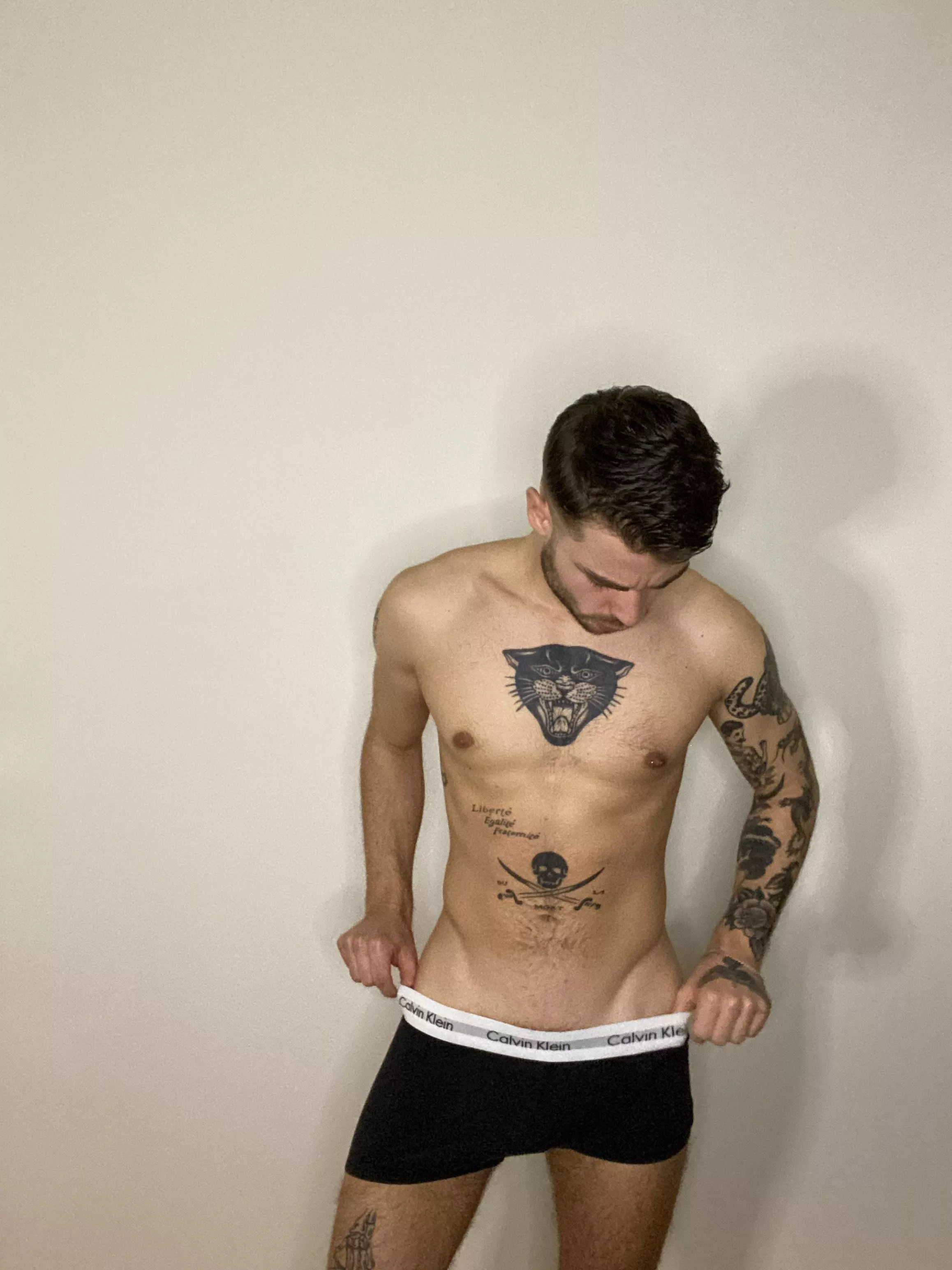 Hi im the new guy here