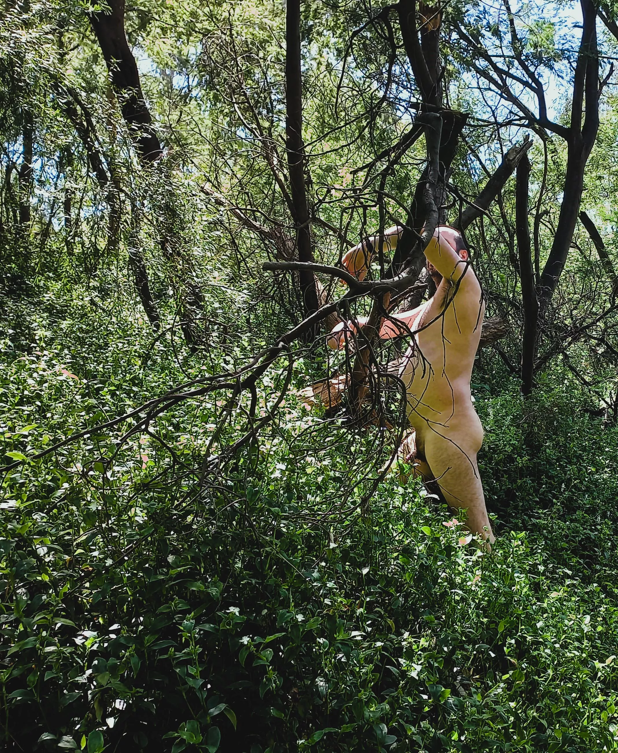 Just some lunchtime exploring