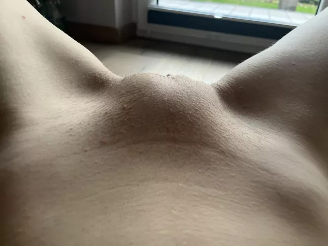 My pussymound if it were dinner would be the most prized in the world 😏