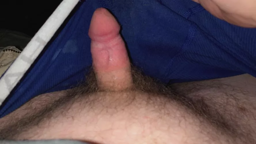 think he wants me to play w him 🤧