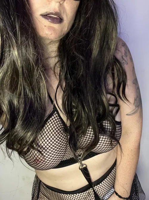 Always happy to be leashed up