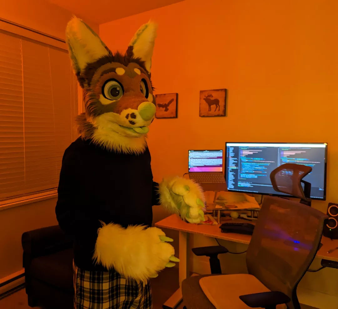 Barkley wants to know why you interrupted his coding