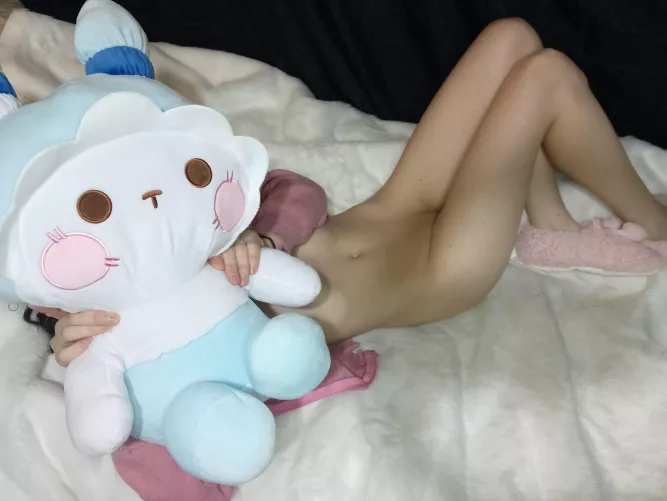 do you like my bunny?