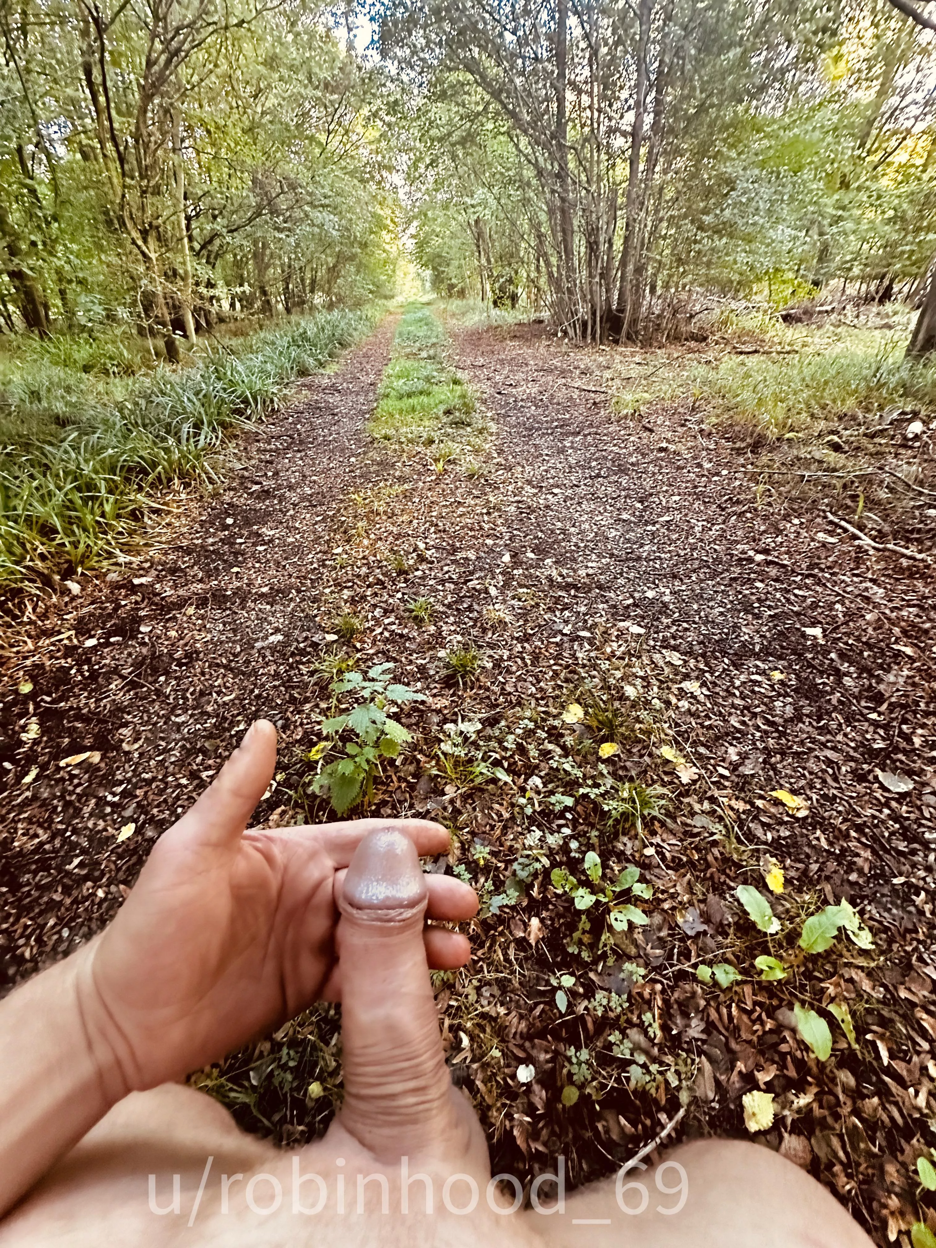 Hunt for a mushroom along the forest path... :-)