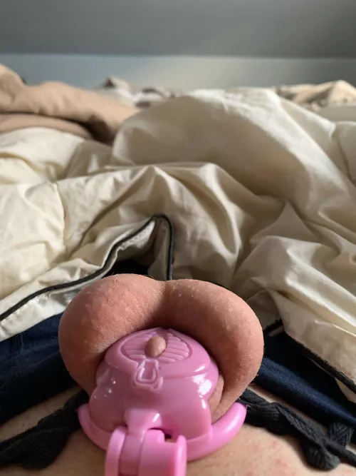 Loving my New cage 😩