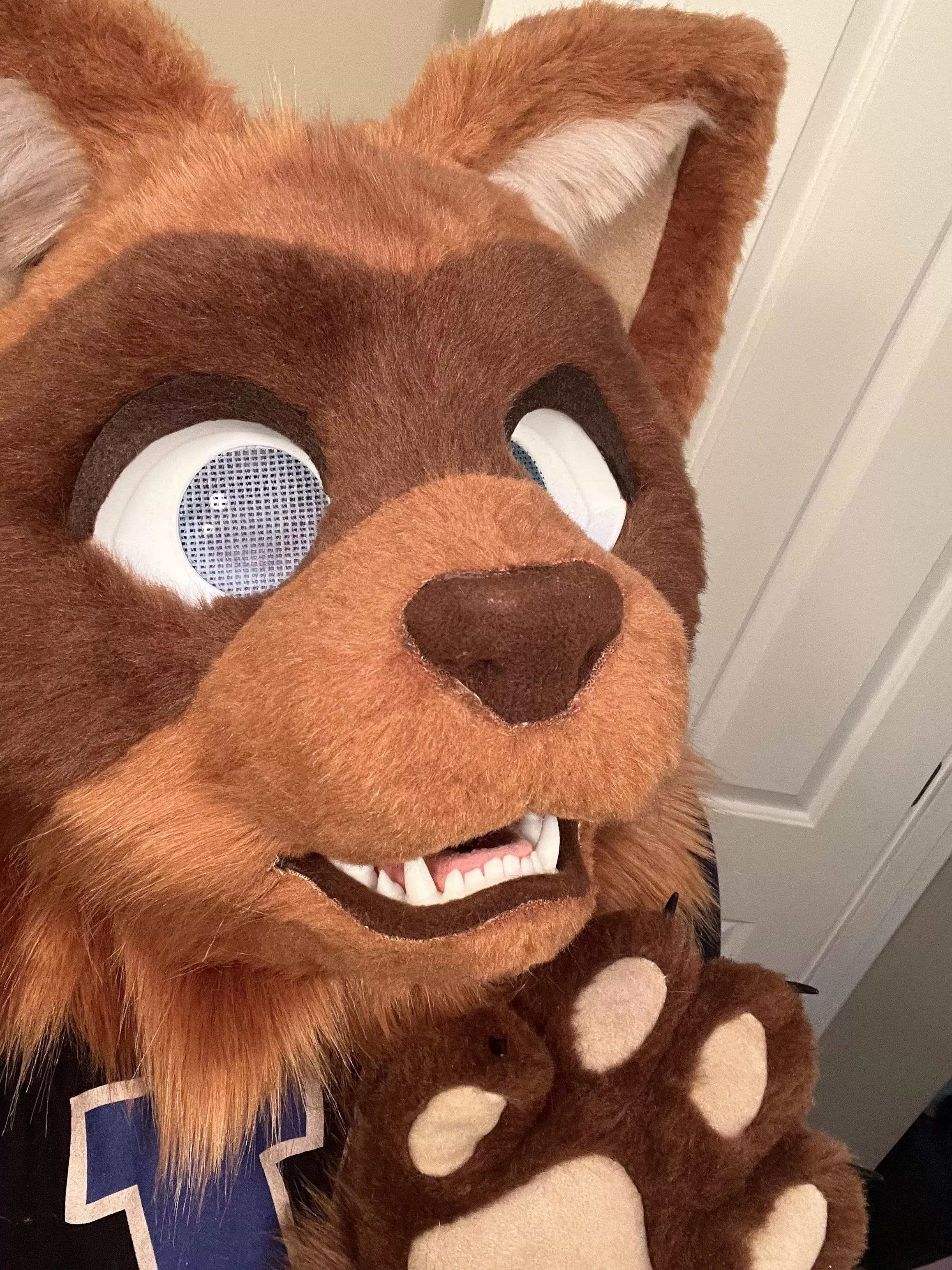 My partial fursuit came today, making this my first Fursuit Friday! SO HYPED!!