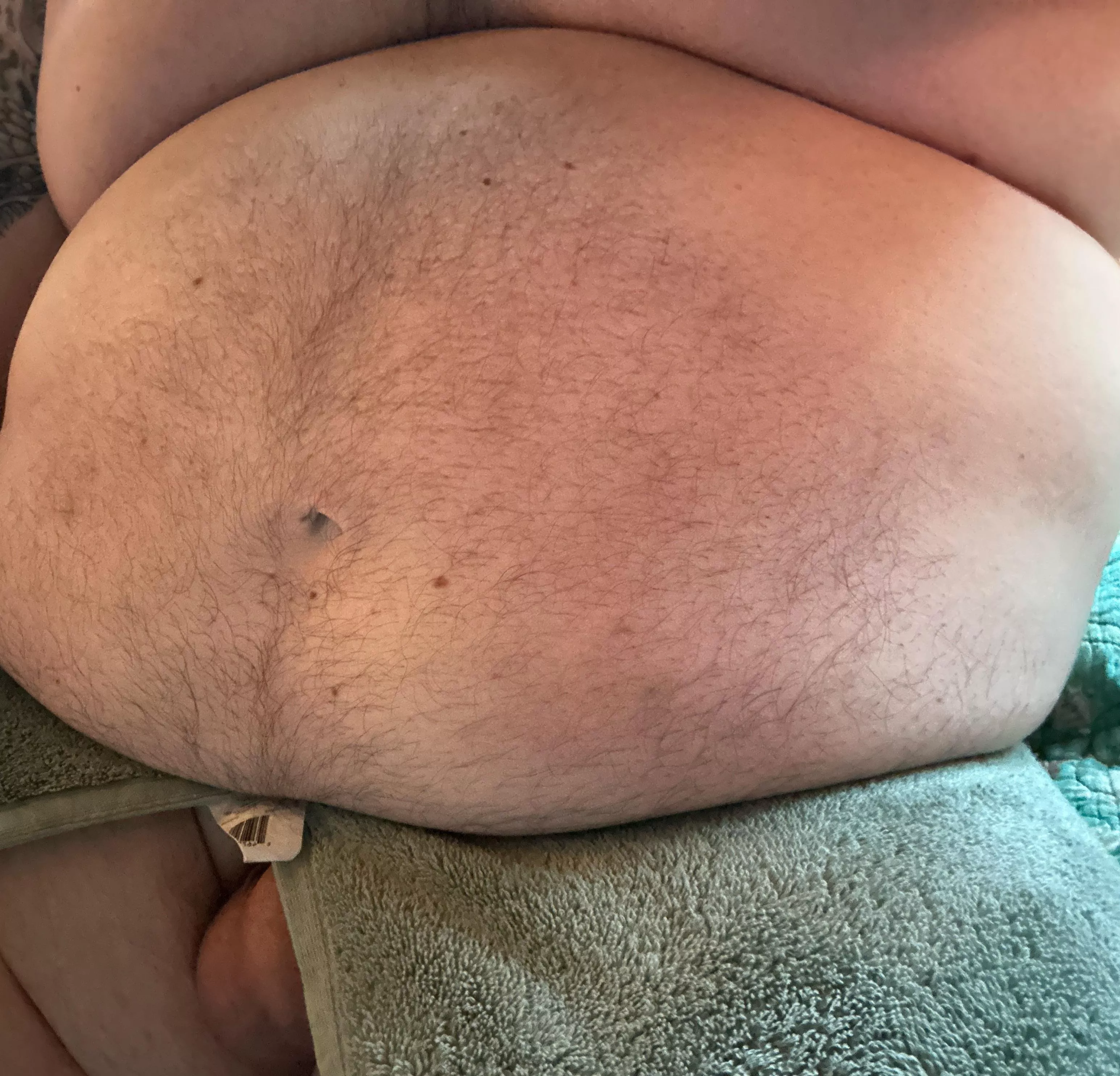 Someone come rub my belly and play with me