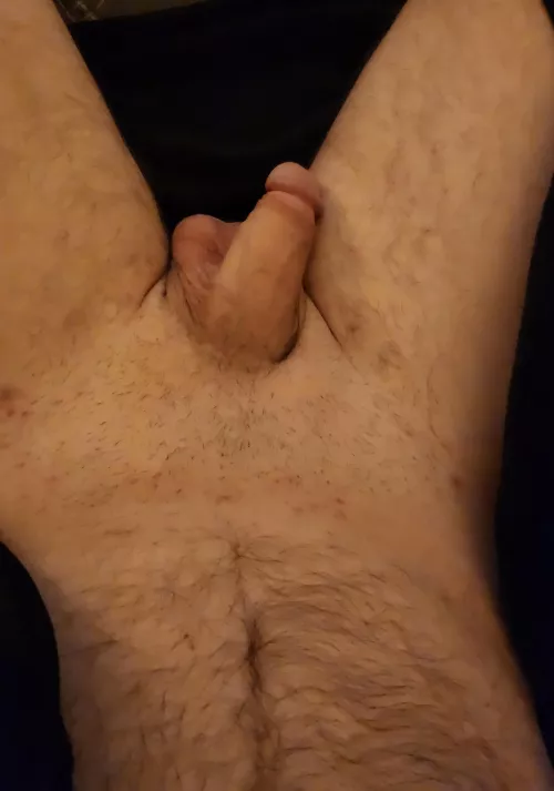 Stubble starting to grow back on this (47) year old softie.