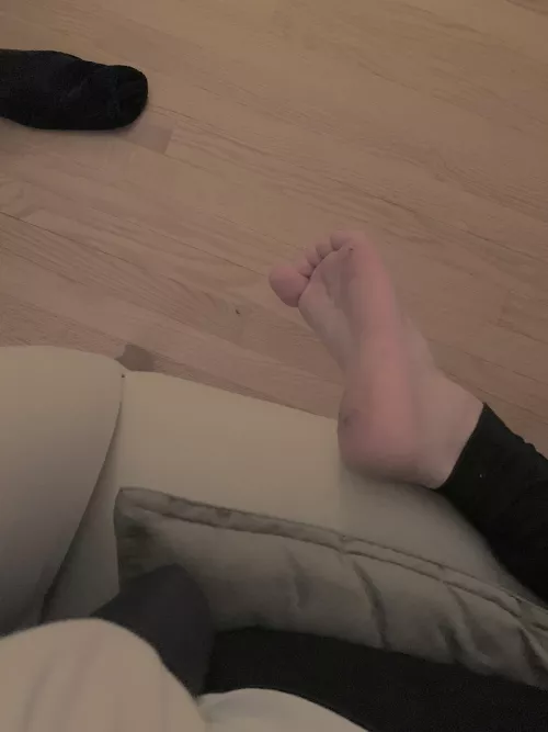 they might be a little stinky >:3