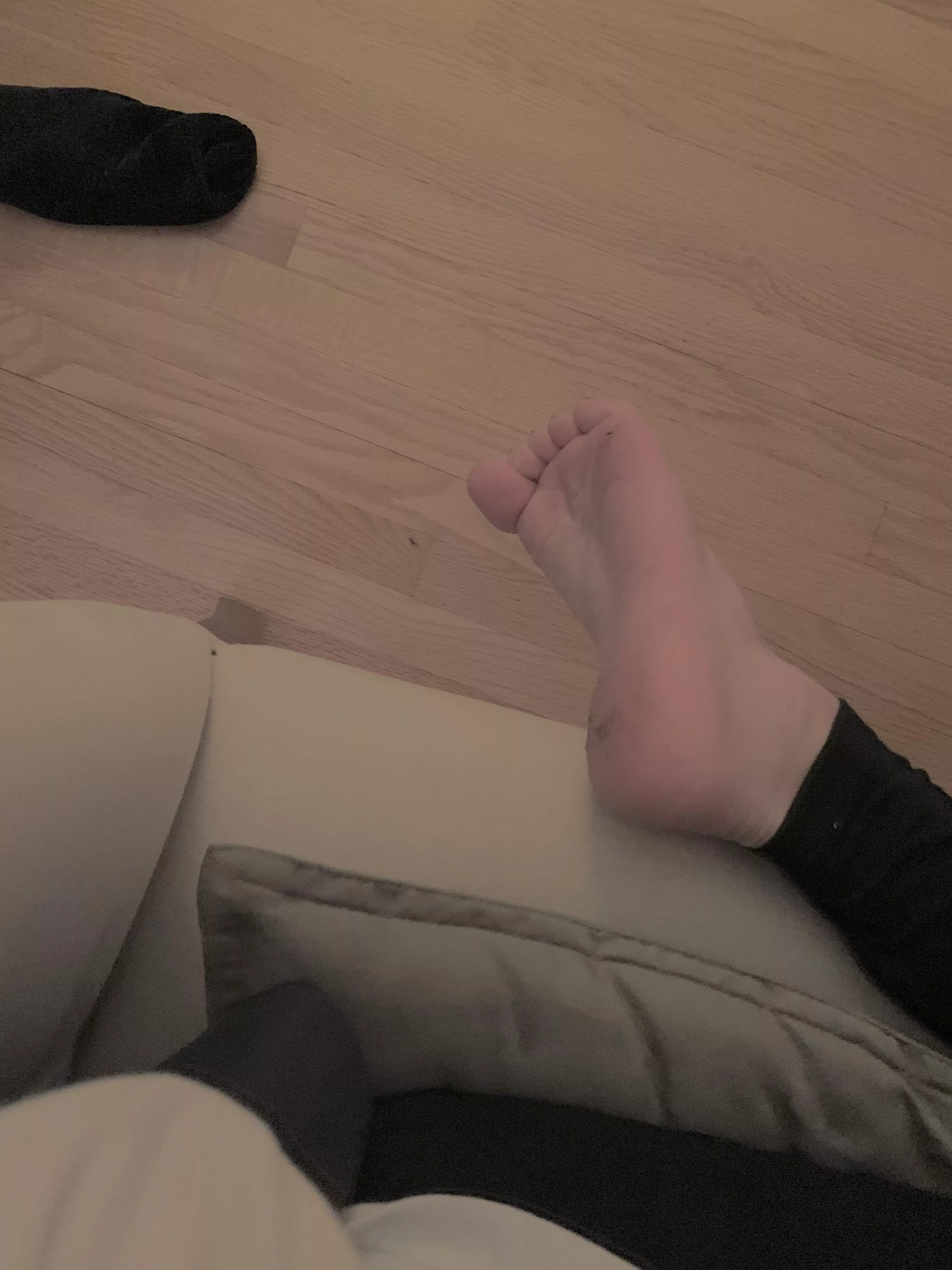 they might be a little stinky >:3