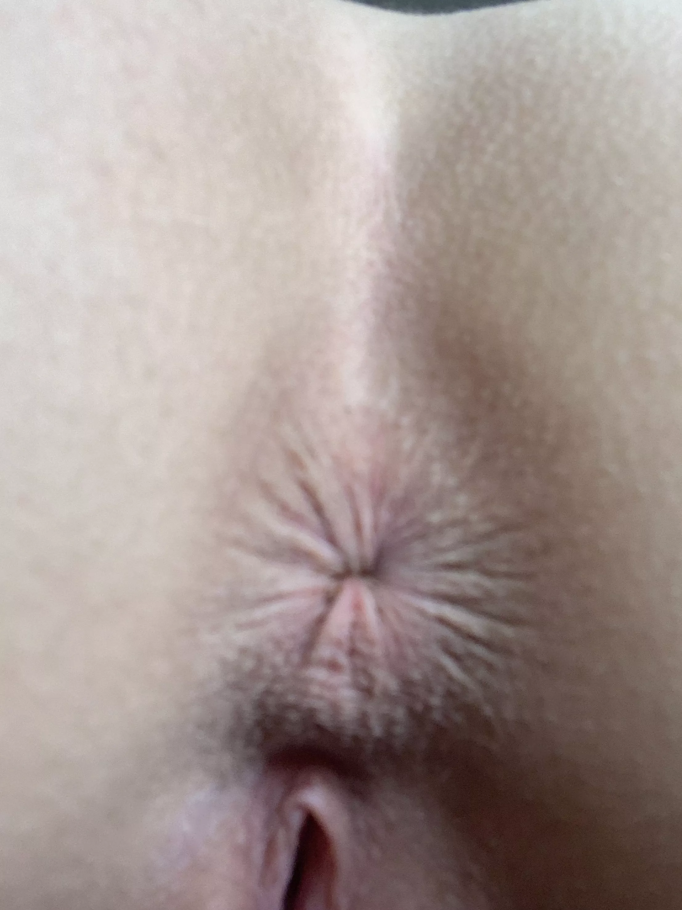 Can you resist the irresistible pull of this seductive temptation, my insatiable lover?