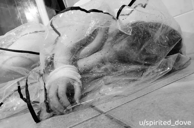 Captured the water dragon