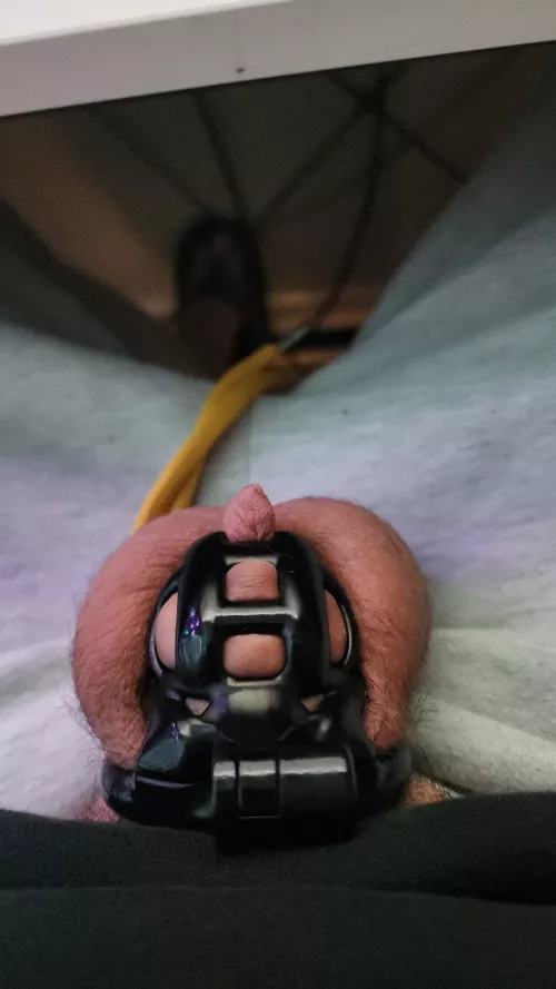 I was told by my keyholder that I'll be finishing locktober and continuing through the end of November