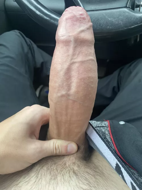 If you caught me jerking off in the car what would you do?