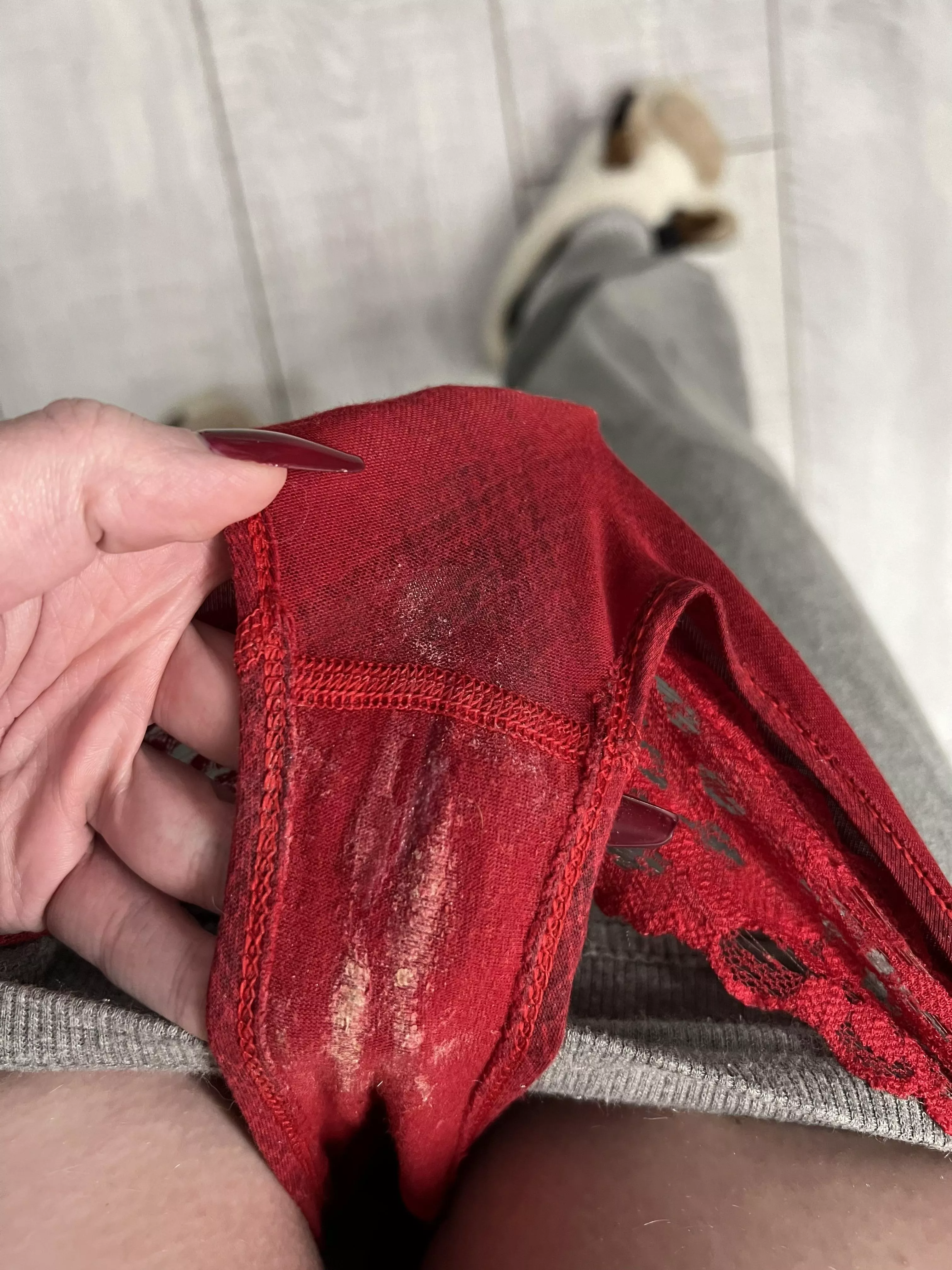 If You Put Me In Your Pocket & Carried Me Around As You Went About Your Day, Would You Sneak Sniffs?