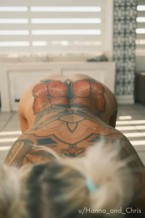 The back garden 🌺 [OC]