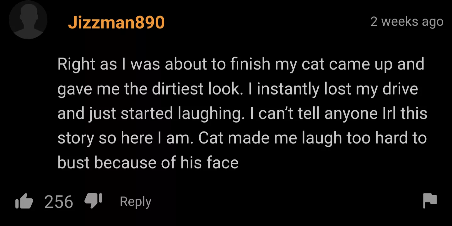 the look of judgement.