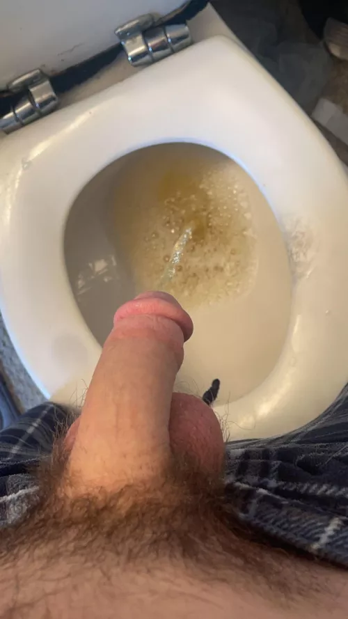 Who wants to join me for my morning piss