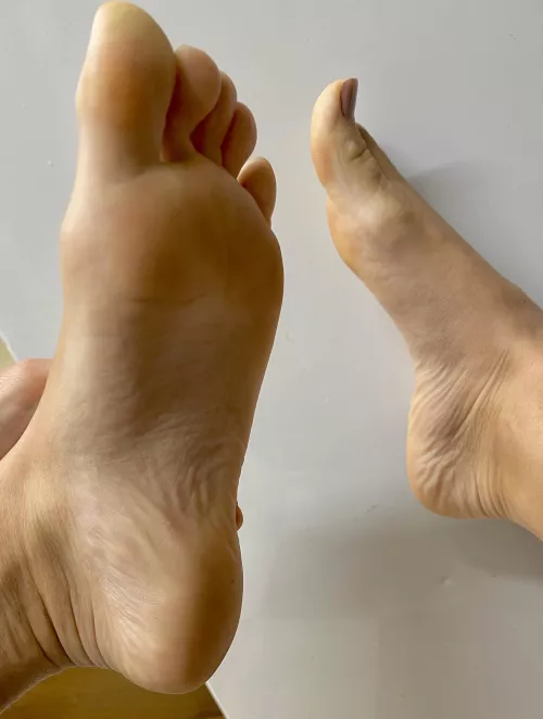 Would you stick your nose in there if I let you?