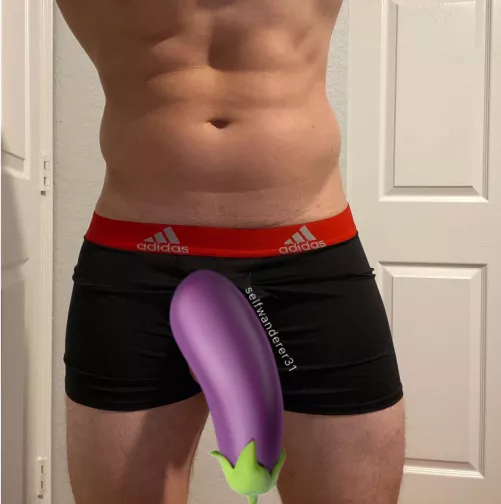 31 M South Florida - experienced clean bull in Broward, Palm Beach, FL area