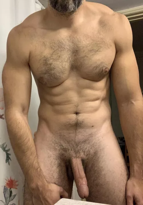 38m fit bull, NYC area… let’s have fun!